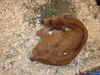 Filename=20091009_023.jpg
Filesize=602KiB
Dimensions=1024x768
Date added=Oct 20, 2009 20091009_023.jpg