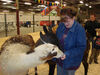 Filename=20091009_027.jpg
Filesize=527KiB
Dimensions=1024x768
Date added=Oct 20, 2009 20091009_027.jpg