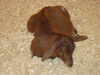 Filename=20091009_029.jpg
Filesize=474KiB
Dimensions=1024x768
Date added=Oct 20, 2009 20091009_029.jpg