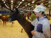 Filename=20091009_031.jpg
Filesize=529KiB
Dimensions=1024x768
Date added=Oct 20, 2009 20091009_031.jpg