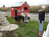 Filename=20091018_006.jpg
Filesize=607KiB
Dimensions=1024x768
Date added=Oct 21, 2009 20091018_006.jpg