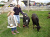 Filename=20091018_007.jpg
Filesize=688KiB
Dimensions=1024x768
Date added=Oct 21, 2009 20091018_007.jpg