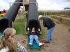 Filename=20091018_014.jpg
Filesize=508KiB
Dimensions=1024x768
Date added=Oct 21, 2009 20091018_014.jpg