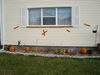 Filename=20091031_005.jpg
Filesize=175KiB
Dimensions=1024x768
Date added=Nov 15, 2009 20091031_005.jpg
