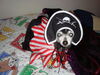 Filename=20091031_008.jpg
Filesize=178KiB
Dimensions=1024x768
Date added=Nov 15, 2009 20091031_008.jpg