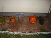 Filename=20091031_024.jpg
Filesize=168KiB
Dimensions=1024x768
Date added=Nov 15, 2009 20091031_024.jpg
