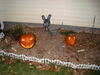 Filename=20091031_025.jpg
Filesize=187KiB
Dimensions=1024x768
Date added=Nov 15, 2009 20091031_025.jpg
