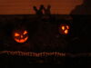 Filename=20091031_026.jpg
Filesize=60KiB
Dimensions=1024x768
Date added=Nov 15, 2009 20091031_026.jpg
