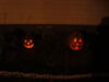 Filename=20091031_027.jpg
Filesize=47KiB
Dimensions=1024x768
Date added=Nov 15, 2009 20091031_027.jpg