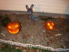 Filename=20091031_028.jpg
Filesize=189KiB
Dimensions=1024x768
Date added=Nov 15, 2009 20091031_028.jpg