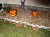 Filename=20091031_029.jpg
Filesize=218KiB
Dimensions=1024x768
Date added=Nov 15, 2009 20091031_029.jpg