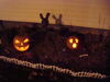 Filename=20091031_030.jpg
Filesize=144KiB
Dimensions=1024x768
Date added=Nov 15, 2009 20091031_030.jpg