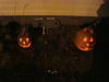 Filename=20091031_032.jpg
Filesize=130KiB
Dimensions=1024x768
Date added=Nov 15, 2009 20091031_032.jpg