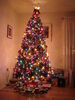Filename=20091224_001.jpg
Filesize=144KiB
Dimensions=768x1024
Date added=Mar 25, 2010 20091224_001.jpg
