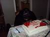 Filename=20100102_009.jpg
Filesize=103KiB
Dimensions=1024x768
Date added=Mar 25, 2010 20100102_009.jpg