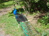 Filename=20100521_002.jpg
Filesize=254KiB
Dimensions=1024x768
Date added=Jul 09, 2010 20100521_002.jpg