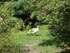 Filename=20100521_003.jpg
Filesize=288KiB
Dimensions=1024x768
Date added=Jul 09, 2010 20100521_003.jpg