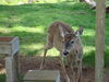 Filename=20100521_005.jpg
Filesize=162KiB
Dimensions=1024x768
Date added=Jul 09, 2010 20100521_005.jpg