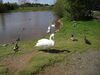 Filename=20100521_008.jpg
Filesize=228KiB
Dimensions=1024x768
Date added=Jul 09, 2010 20100521_008.jpg
