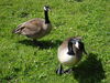 Filename=20100521_011.jpg
Filesize=314KiB
Dimensions=1024x768
Date added=Jul 09, 2010 20100521_011.jpg