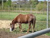 Filename=20100521_013.jpg
Filesize=250KiB
Dimensions=1024x768
Date added=Jul 09, 2010 20100521_013.jpg