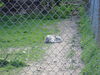 Filename=20100521_015.jpg
Filesize=205KiB
Dimensions=1024x768
Date added=Jul 09, 2010 20100521_015.jpg
