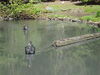 Filename=20100521_020.jpg
Filesize=207KiB
Dimensions=1024x768
Date added=Jul 09, 2010 20100521_020.jpg