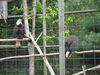 Filename=20100521_041.jpg
Filesize=224KiB
Dimensions=1024x768
Date added=Jul 09, 2010 20100521_041.jpg