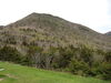 Filename=20100522_028.jpg
Filesize=183KiB
Dimensions=1024x768
Date added=Jul 09, 2010 20100522_028.jpg