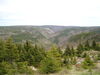 Filename=20100522_034.jpg
Filesize=171KiB
Dimensions=1024x768
Date added=Jul 09, 2010 20100522_034.jpg