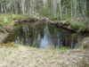Filename=20100523_030.jpg
Filesize=301KiB
Dimensions=1024x768
Date added=Jul 09, 2010 20100523_030.jpg