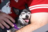 Filename=20100523_046.jpg
Filesize=170KiB
Dimensions=1023x685
Date added=Jul 09, 2010 20100523_046.jpg