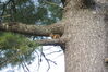 Filename=20100523_056.jpg
Filesize=255KiB
Dimensions=1023x685
Date added=Jul 09, 2010 20100523_056.jpg