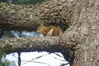 Filename=20100523_057.jpg
Filesize=217KiB
Dimensions=1023x685
Date added=Jul 09, 2010 20100523_057.jpg