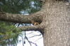 Filename=20100523_059.jpg
Filesize=237KiB
Dimensions=1023x685
Date added=Jul 09, 2010 20100523_059.jpg