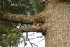 Filename=20100523_060.jpg
Filesize=233KiB
Dimensions=1023x685
Date added=Jul 09, 2010 20100523_060.jpg