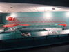 Filename=20100524_072.jpg
Filesize=119KiB
Dimensions=1024x768
Date added=Jul 09, 2010 20100524_072.jpg