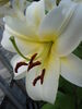 Filename=20100726_004.jpg
Filesize=72KiB
Dimensions=768x1024
Date added=Sep 09, 2010 20100726_004.jpg