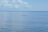 Filename=20100731_010.jpg
Filesize=122KiB
Dimensions=1023x685
Date added=Sep 09, 2010 20100731_010.jpg