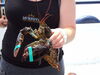 Filename=20100731_020.jpg
Filesize=117KiB
Dimensions=1024x768
Date added=Sep 09, 2010 20100731_020.jpg