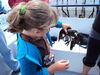 Filename=20100731_023.jpg
Filesize=167KiB
Dimensions=1024x768
Date added=Sep 09, 2010 20100731_023.jpg