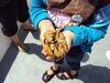 Filename=20100731_025.jpg
Filesize=156KiB
Dimensions=1024x768
Date added=Sep 09, 2010 20100731_025.jpg