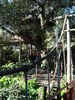 Filename=20100820_016.jpg
Filesize=287KiB
Dimensions=768x1024
Date added=Sep 08, 2010 20100820_016.jpg
