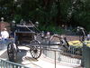 Filename=20100820_026.jpg
Filesize=236KiB
Dimensions=1024x768
Date added=Sep 08, 2010 20100820_026.jpg