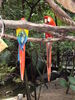 Filename=20100823_009.jpg
Filesize=209KiB
Dimensions=768x1024
Date added=Sep 08, 2010 20100823_009.jpg