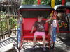 Filename=20100823_030.jpg
Filesize=238KiB
Dimensions=1024x768
Date added=Sep 08, 2010 20100823_030.jpg