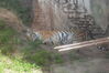 Filename=20100823_043.jpg
Filesize=153KiB
Dimensions=1023x682
Date added=Sep 08, 2010 20100823_043.jpg