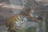 Filename=20100823_044.jpg
Filesize=106KiB
Dimensions=1023x682
Date added=Sep 08, 2010 20100823_044.jpg