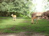 Filename=20100823_046.jpg
Filesize=207KiB
Dimensions=1024x768
Date added=Sep 08, 2010 20100823_046.jpg