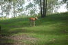 Filename=20100823_049.jpg
Filesize=181KiB
Dimensions=1023x682
Date added=Sep 08, 2010 20100823_049.jpg